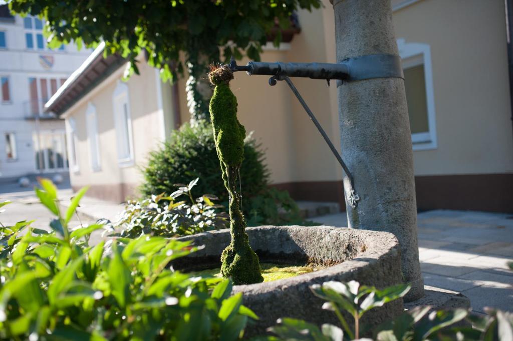 Zahrada ubytování Hotel Vösenhuber