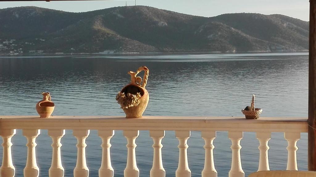 - un groupe d'oiseaux assis sur un balcon donnant sur l'eau dans l'établissement Wavedance Accommodation, à Salamine