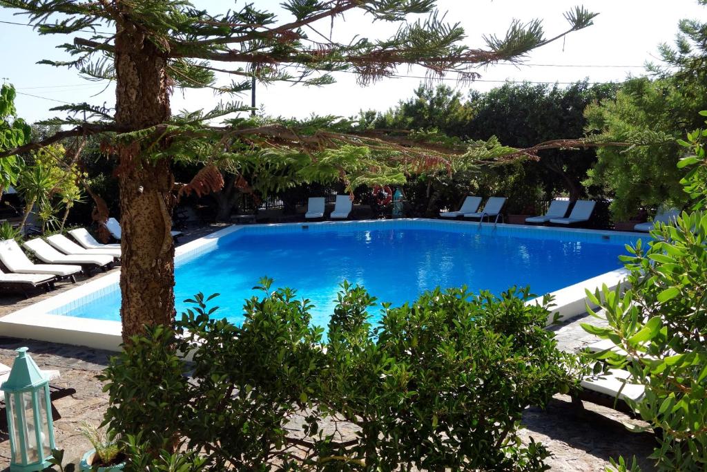 Bazén v ubytování Cretan Village Hotel nebo v jeho okolí