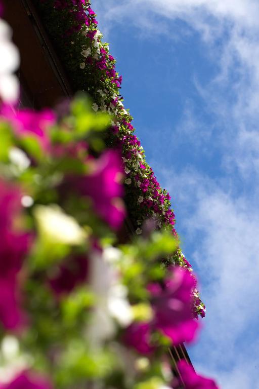 Hotel Garni Römerhof - Resim 41