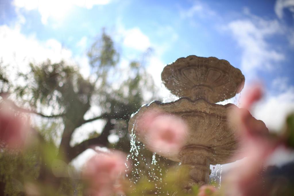 Hotel Garni Römerhof - Resim 36