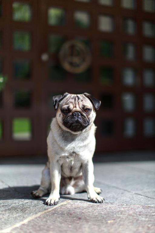 Hotel Garni Römerhof - Resim 30