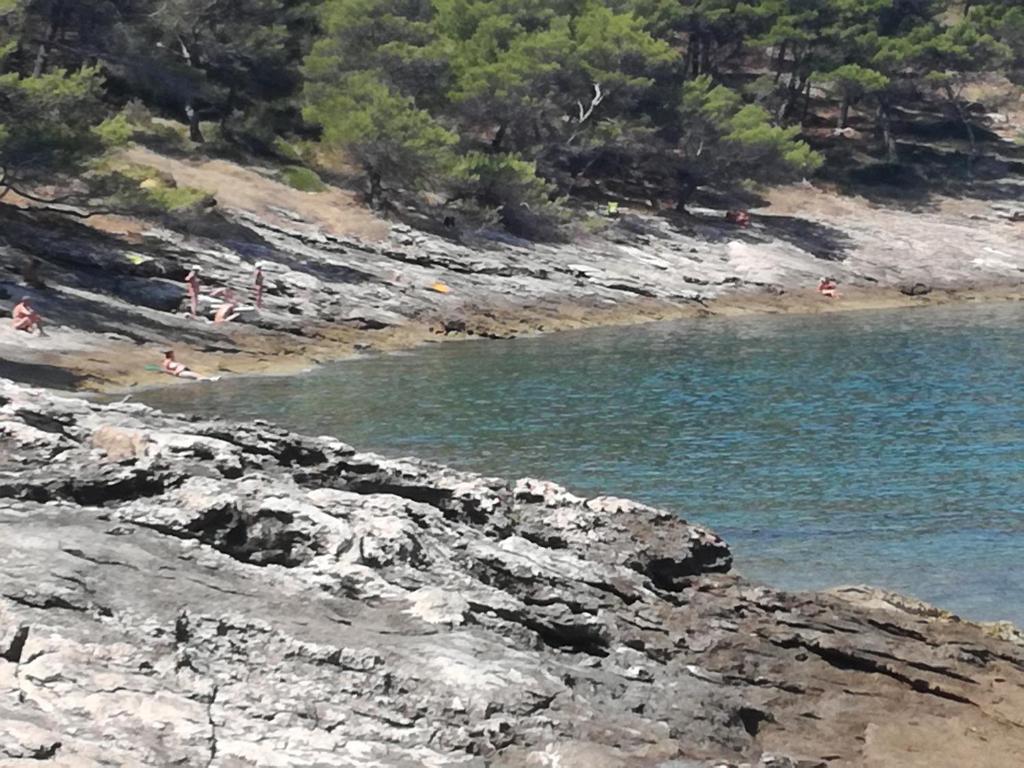 Příroda nedaleko apartmánu