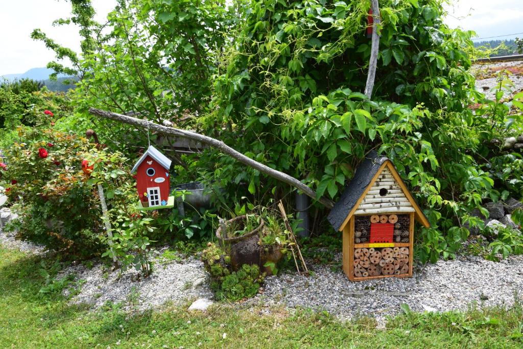 Zahrada ubytování Ferienwohnung Albel