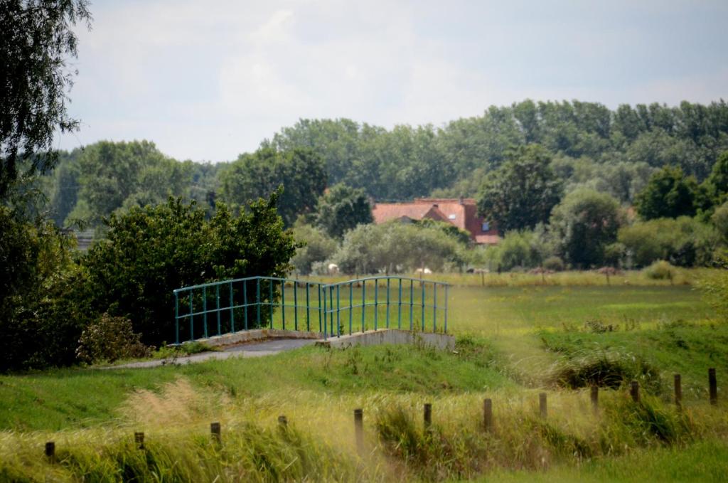 Příroda nedaleko prázdninového domu