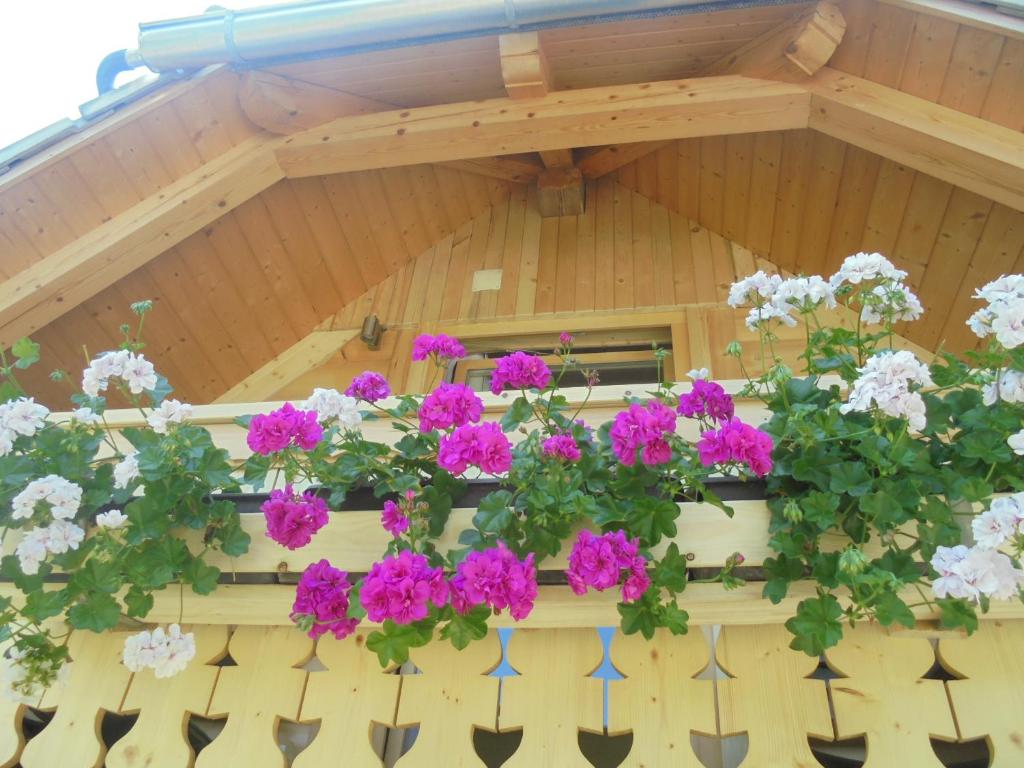 Zahrada ubytování Farmhouse pri Miklavu