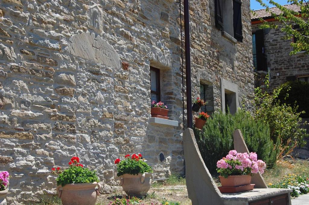Vonkajšia záhrada v ubytovaní Appartamenti Cenni - Relais su Lago