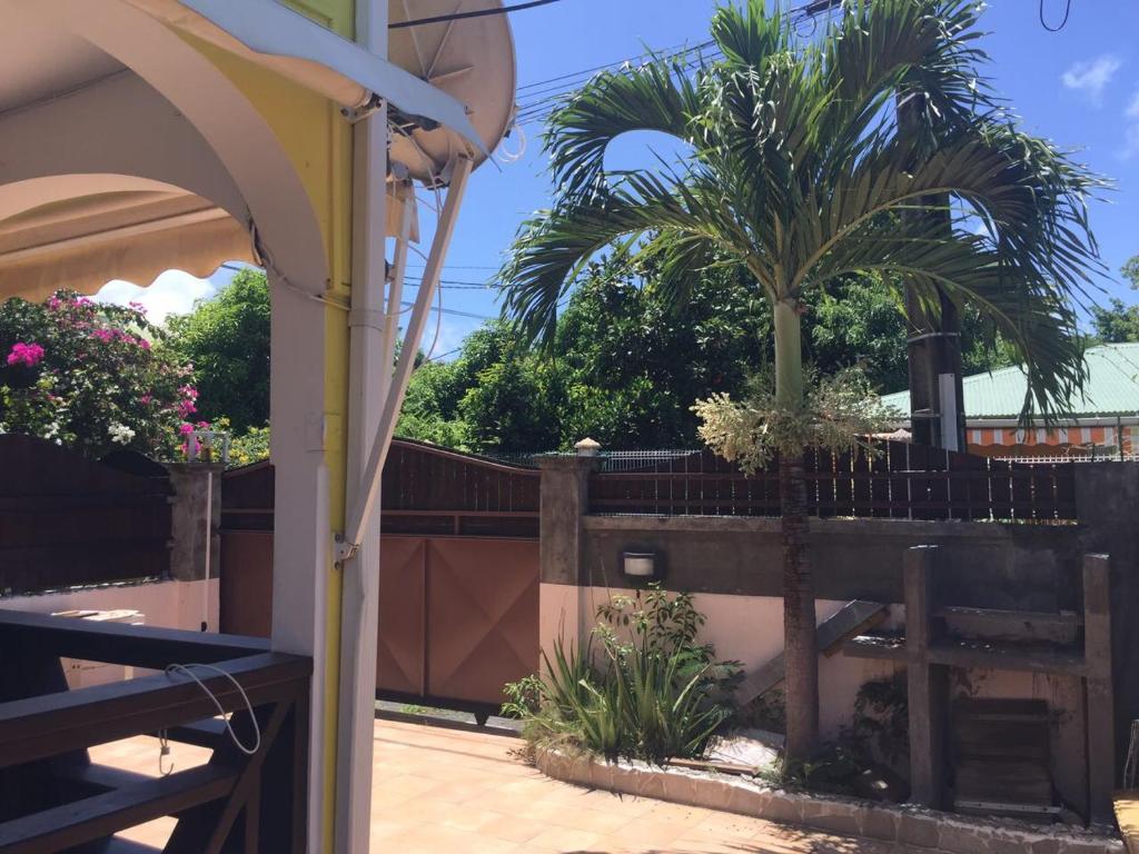 une terrasse avec une clôture et des palmiers en arrière-plan dans l'établissement location guadeloupe, au Gosier