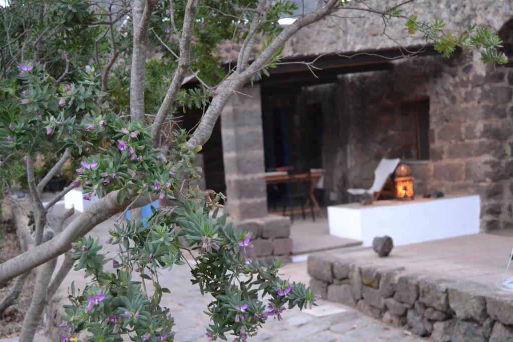 Fotografie z fotogalerie ubytování BIOdammuso v destinaci Pantelleria