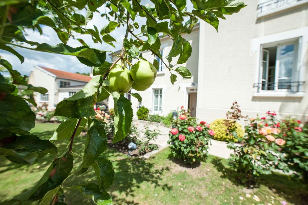 Zahrada ubytování Chez Camille