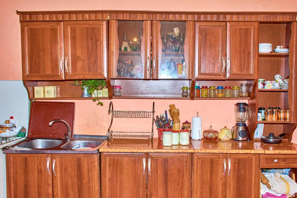 Kuchyň nebo kuchyňský kout v ubytování Guest House Aleksandre