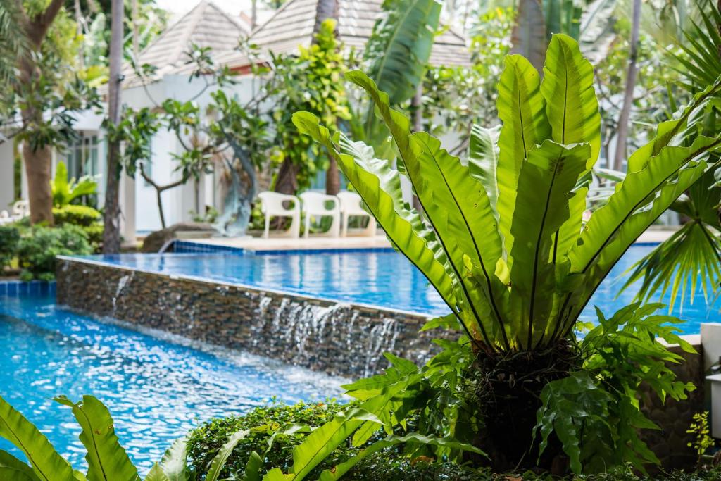 Bazén v ubytování Koh Tao Montra Resort nebo v jeho okolí