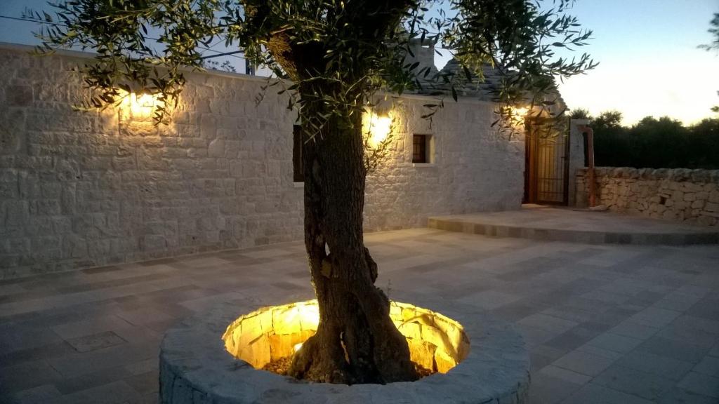 Fotografie z fotogalerie ubytování Trulli a Sud-Est v Alberobellu