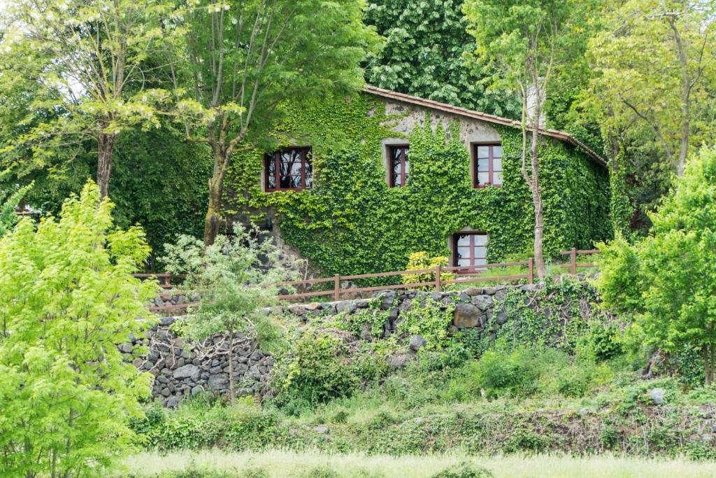 una casa cubierta de hiedra en una pared de piedra en Mas La Mata, en Olot