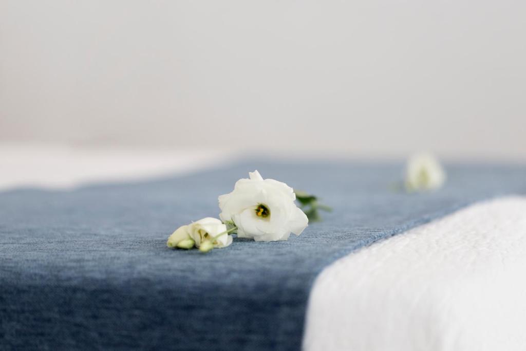 two white flowers sitting on a bed at Hotel Plaza Cavana in Nerja