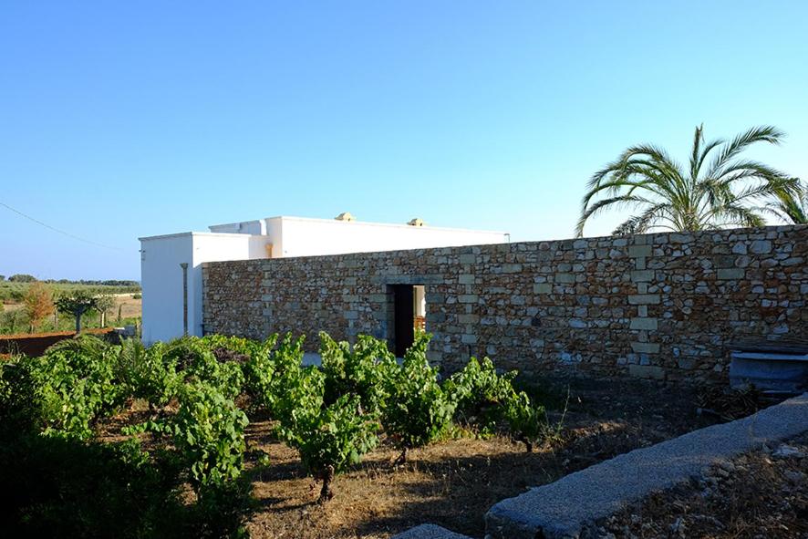 Zahrada ubytování Relais Masseria Sant'Antonio