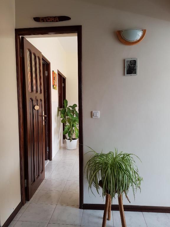 Fotografie z fotogalerie ubytování Casa D'Mar v destinaci Ponta do Sol