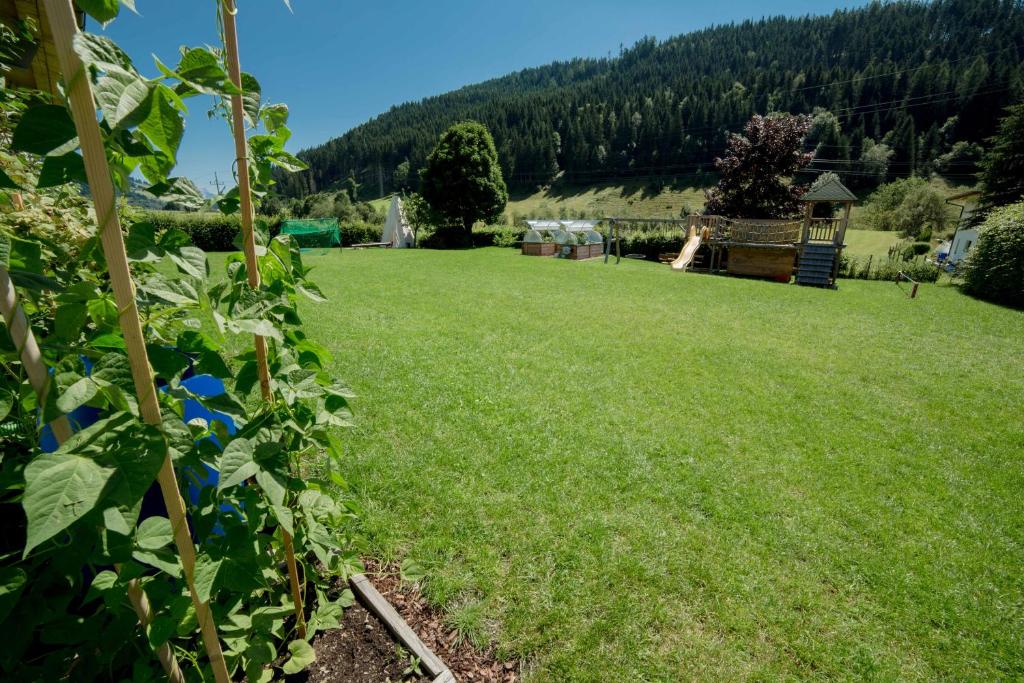 Vonkajšia záhrada v ubytovaní Aparthotel Steger Wagrain