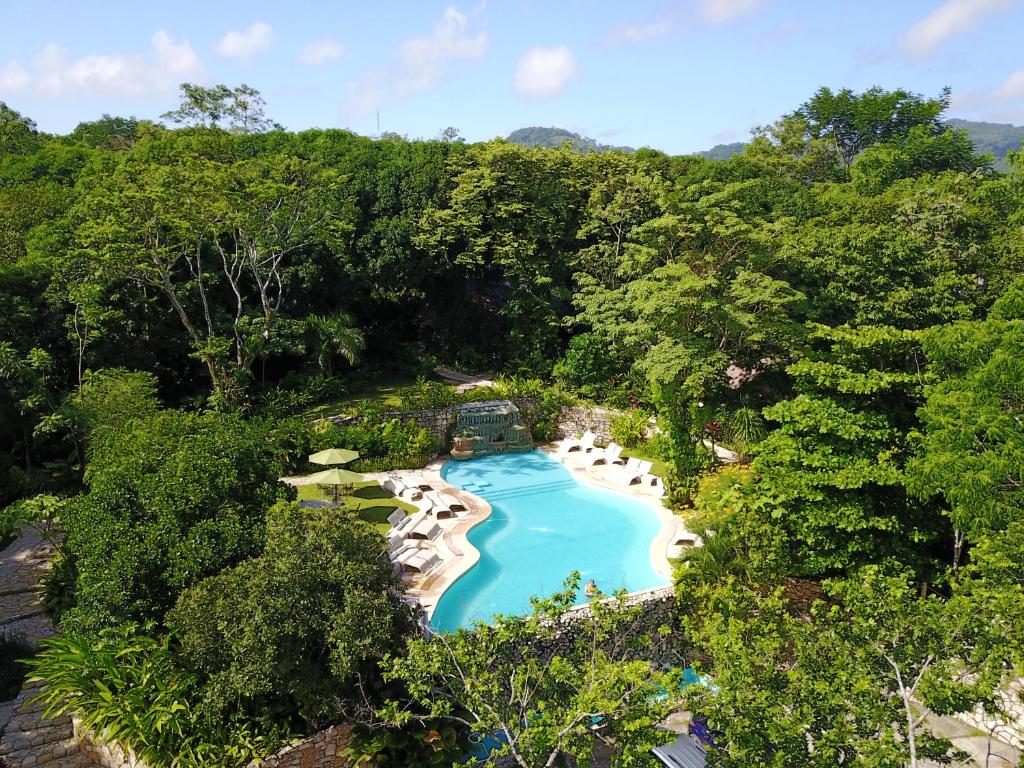 an overhead view of a swimming pool in a forest at Hotel La Aldea del Halach Huinic in Palenque