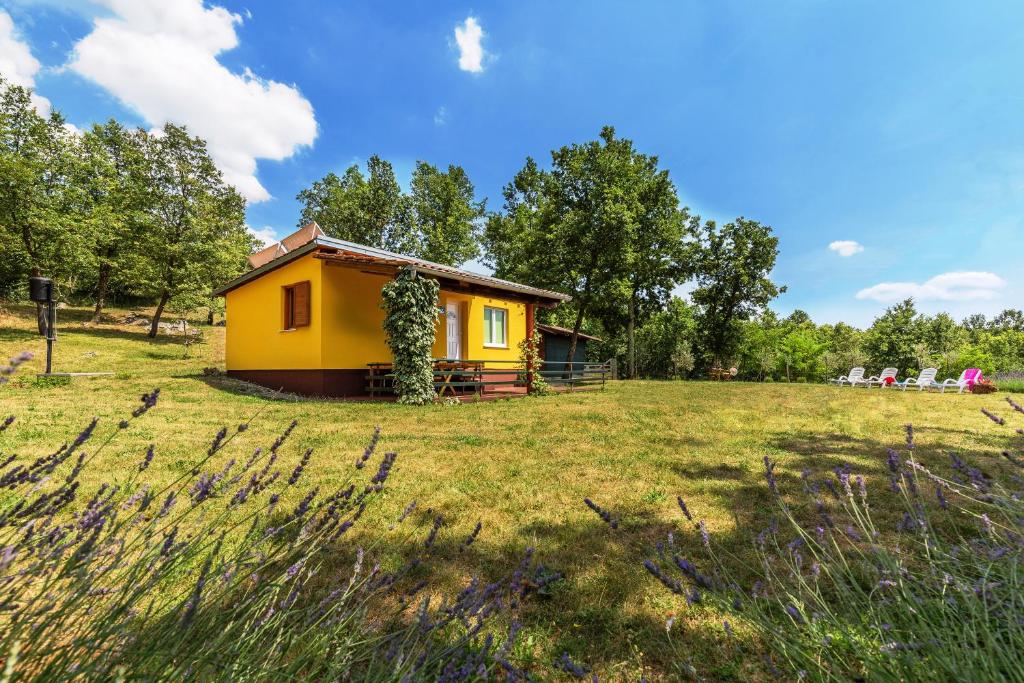 una pequeña casa amarilla en un campo de hierba en Vacation home Latini, en Hum