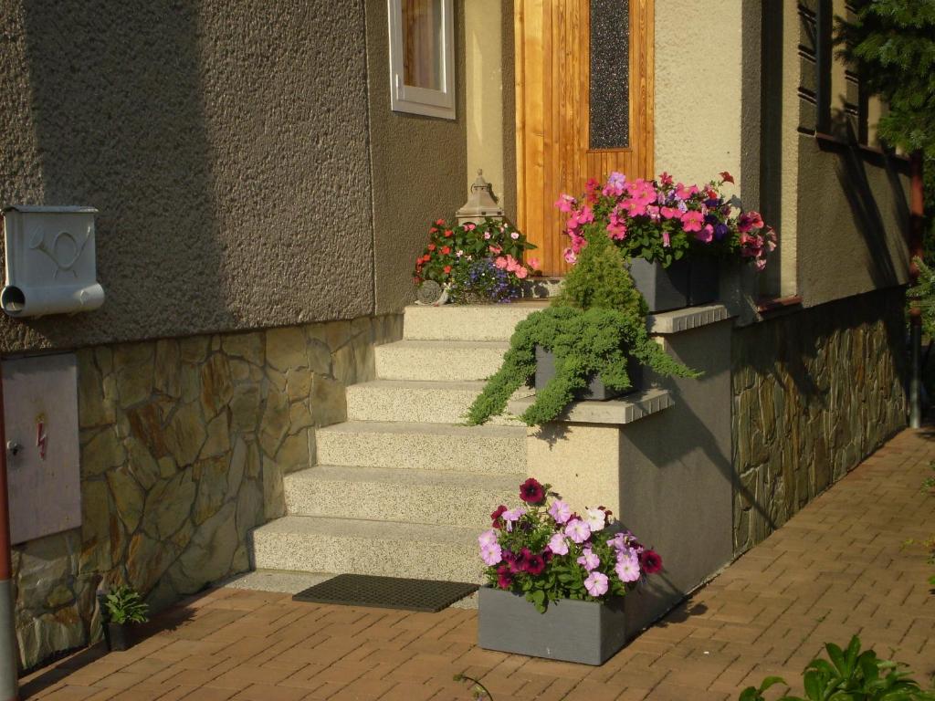 Zahrada ubytování apartman pro 4 osoby