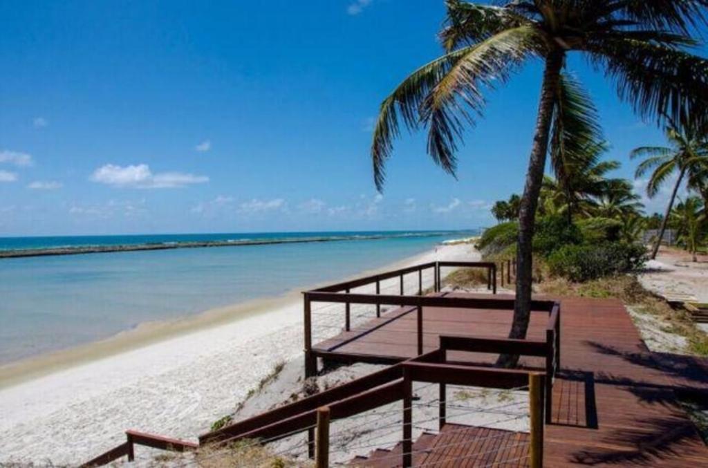 a bench on a beach with a palm tree at Flat de 2 quartos, Nui Supreme Beach, Praia do Muro Alto Porto de Galinhas in Porto De Galinhas