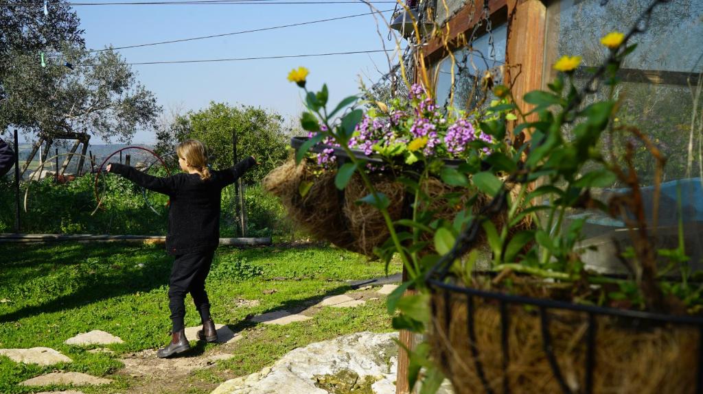 Zahrada ubytování Galilee Bedouin Camplodge