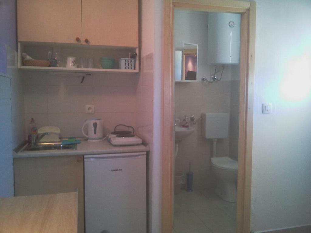 Kuchyňa alebo kuchynka v ubytovaní Gospodar Apartments