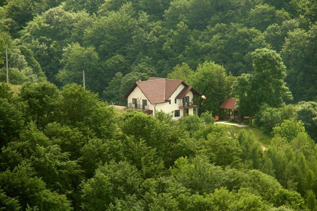 una casa in mezzo a una foresta di alberi di Pensiunea 7 Brazi a Poiana Mărului