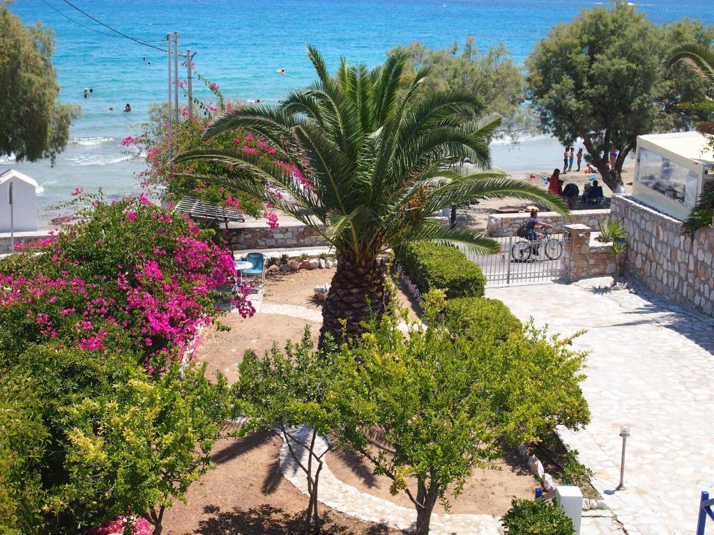 a view of a beach with a palm tree and flowers at Villa Dolphin in Azolimnos Syros