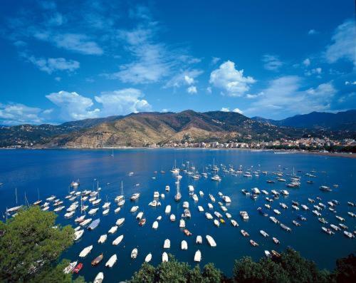 a large group of boats in a large body of water at Grand Hotel Dei Castelli in Sestri Levante