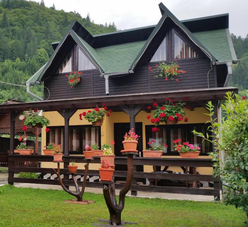 a house with flowerpots on the front of it at Pensiunea Stefanescu in Voineasa