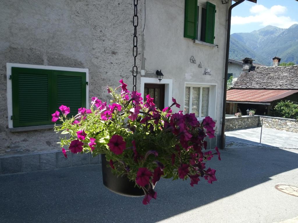 a pot of flowers hanging in front of a building at Cà di Noni in Gordevio