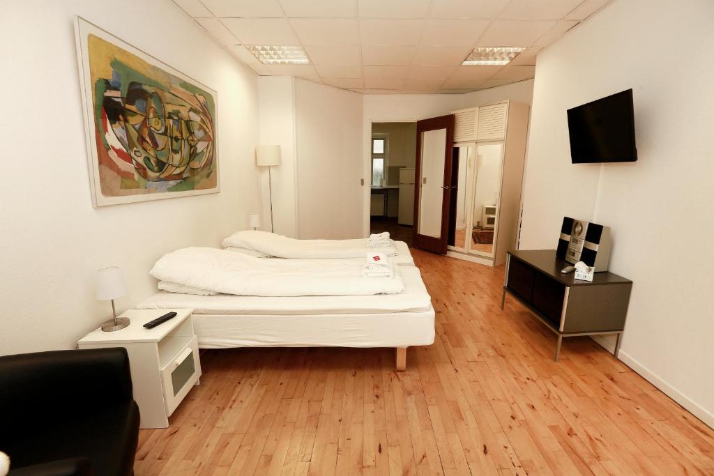 TV a/nebo společenská místnost v ubytování Hotel 9 små hjem