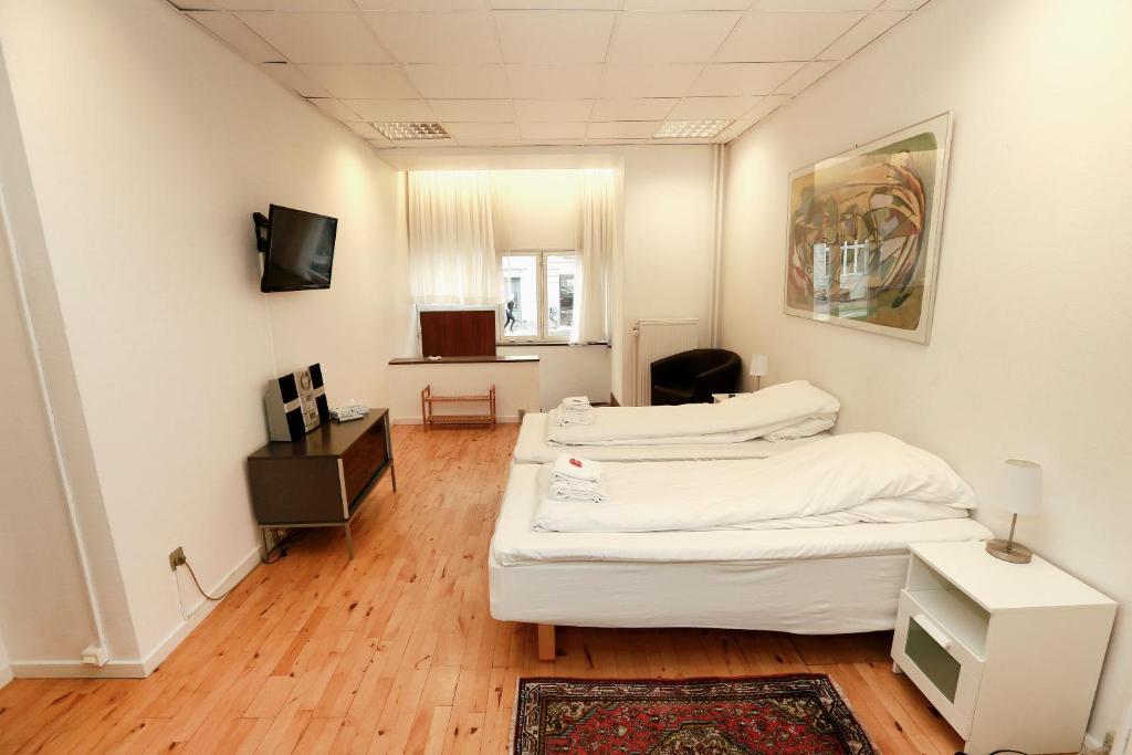 TV a/nebo společenská místnost v ubytování Hotel 9 små hjem