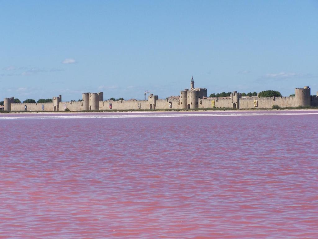 エーグ・モルトにあるAigues-Mortes villa prés des rempartsの水中城