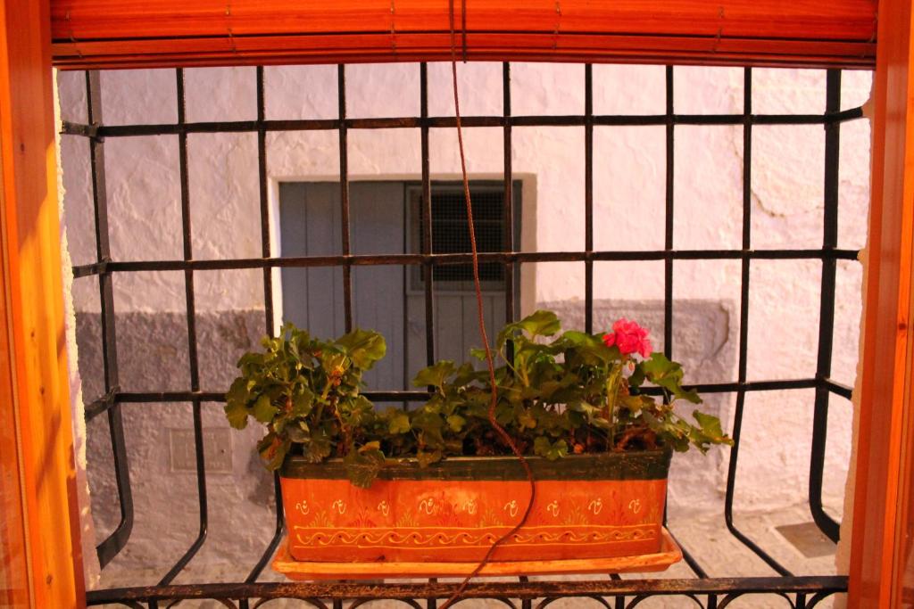 Fotografie z fotogalerie ubytování La casa de la acequia v destinaci Serón