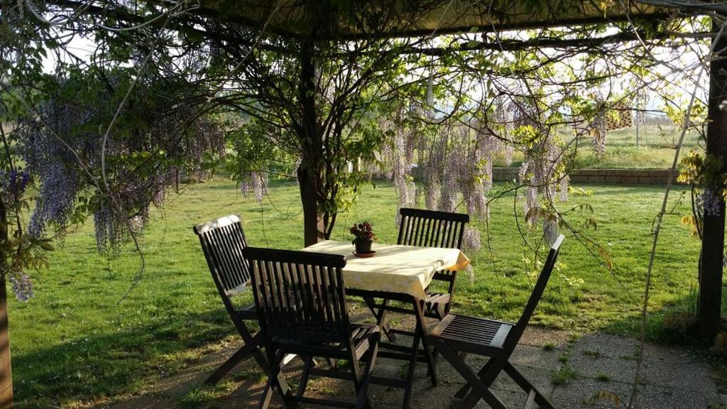 una mesa con tres sillas sentada bajo un árbol en Agriturismo Sant Anna Quarter Horse en Cura Nuova