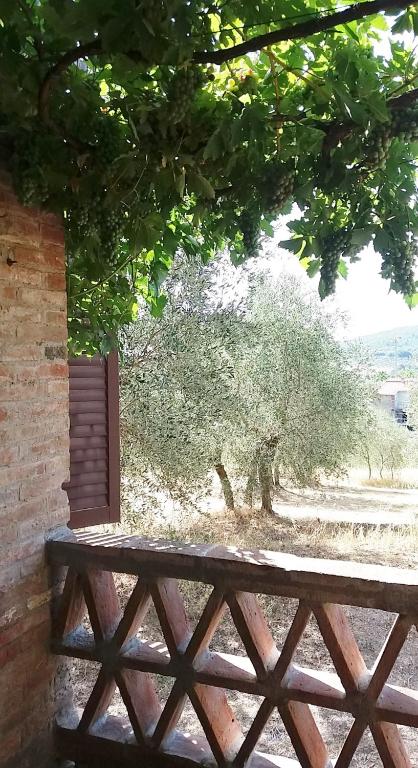Zahrada ubytování Casa dei Borghi