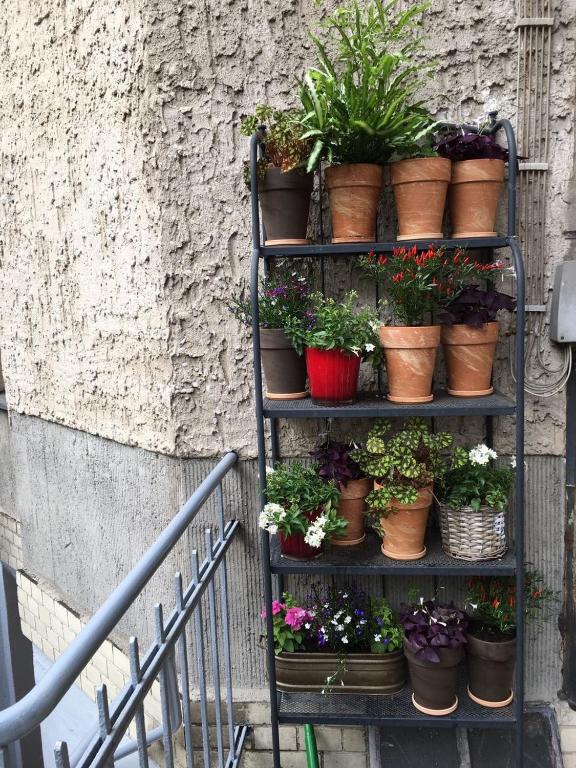 Hotel Elba am Kurfürstendamm - Design Chambers - Resim 42