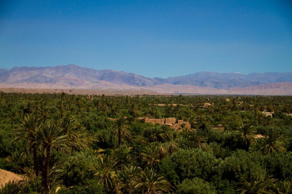 a desert with palm trees and mountains in the background at Skoura Lodge in Skoura