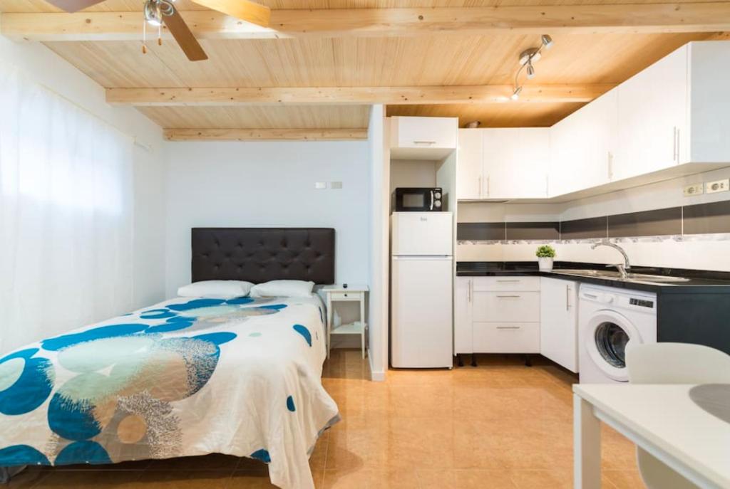 拉斯帕爾馬斯的住宿－Studio Las Palmas Central Rooms，一间厨房和一间带一张床的卧室