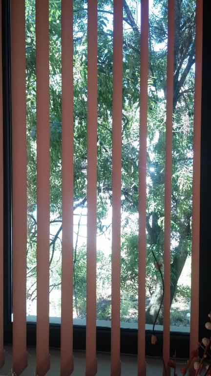 a window with blinds in a room with trees at Comfort Guest Rooms in Pleven