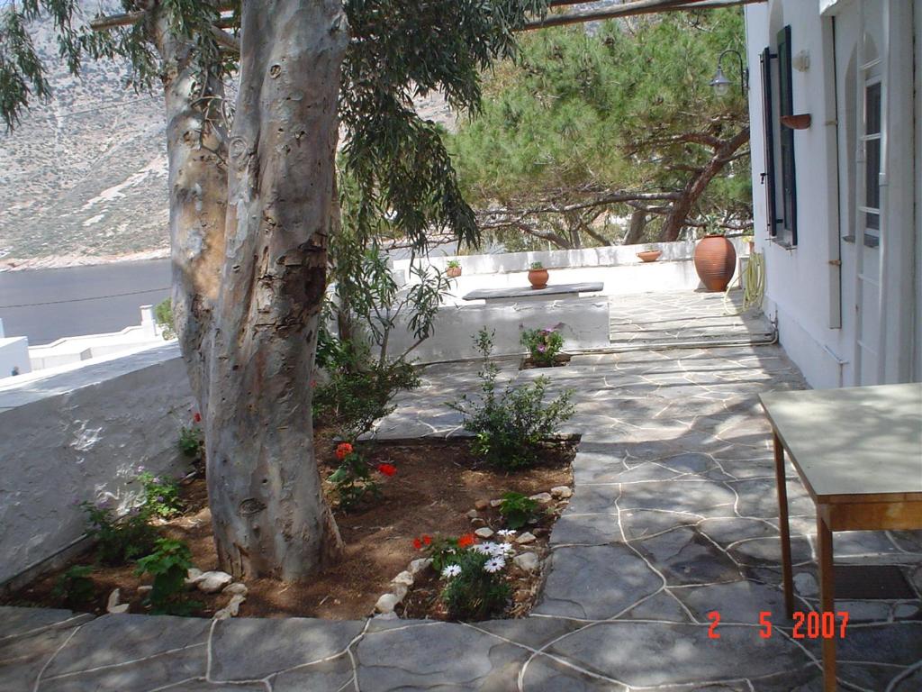 Vonkajšia záhrada v ubytovaní House in Kamares - Sifnos