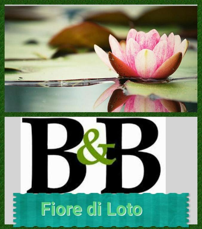 a pink water lily sitting on top of a pond at Fiore di Loto in Limatola