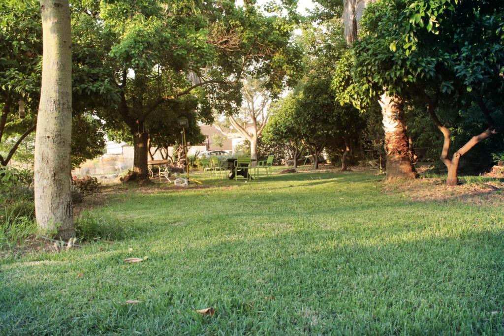 un parque con una mesa de picnic en el césped en Hosting Orchard, en Beit Hillel