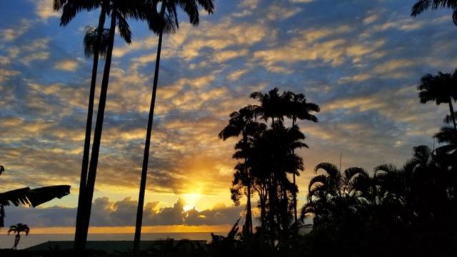 un tramonto con palme e un cielo nuvoloso di Orchid Tree B&B a Hilo