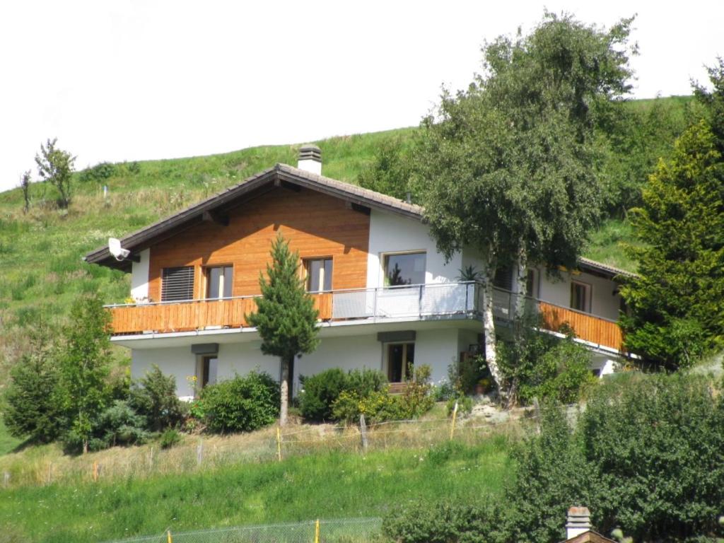 Příroda nedaleko apartmánu