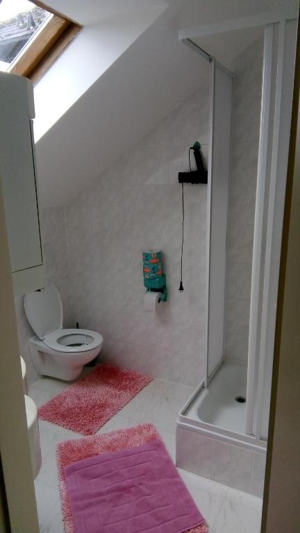 Koupelna v ubytování ApartmányDanielova