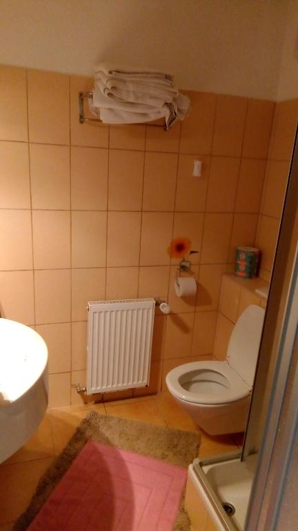 Koupelna v ubytování ApartmányDanielova